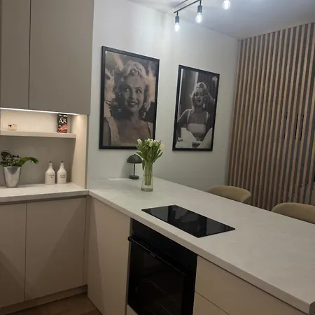 Elegans Belvarosi Studiolakas Appartement Baja